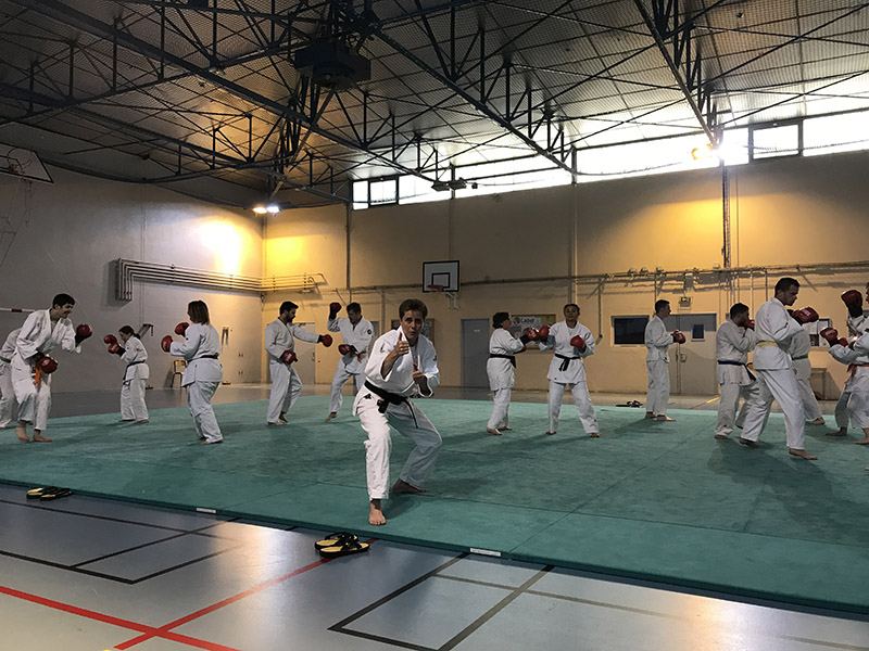 MAS judo-jujitsu